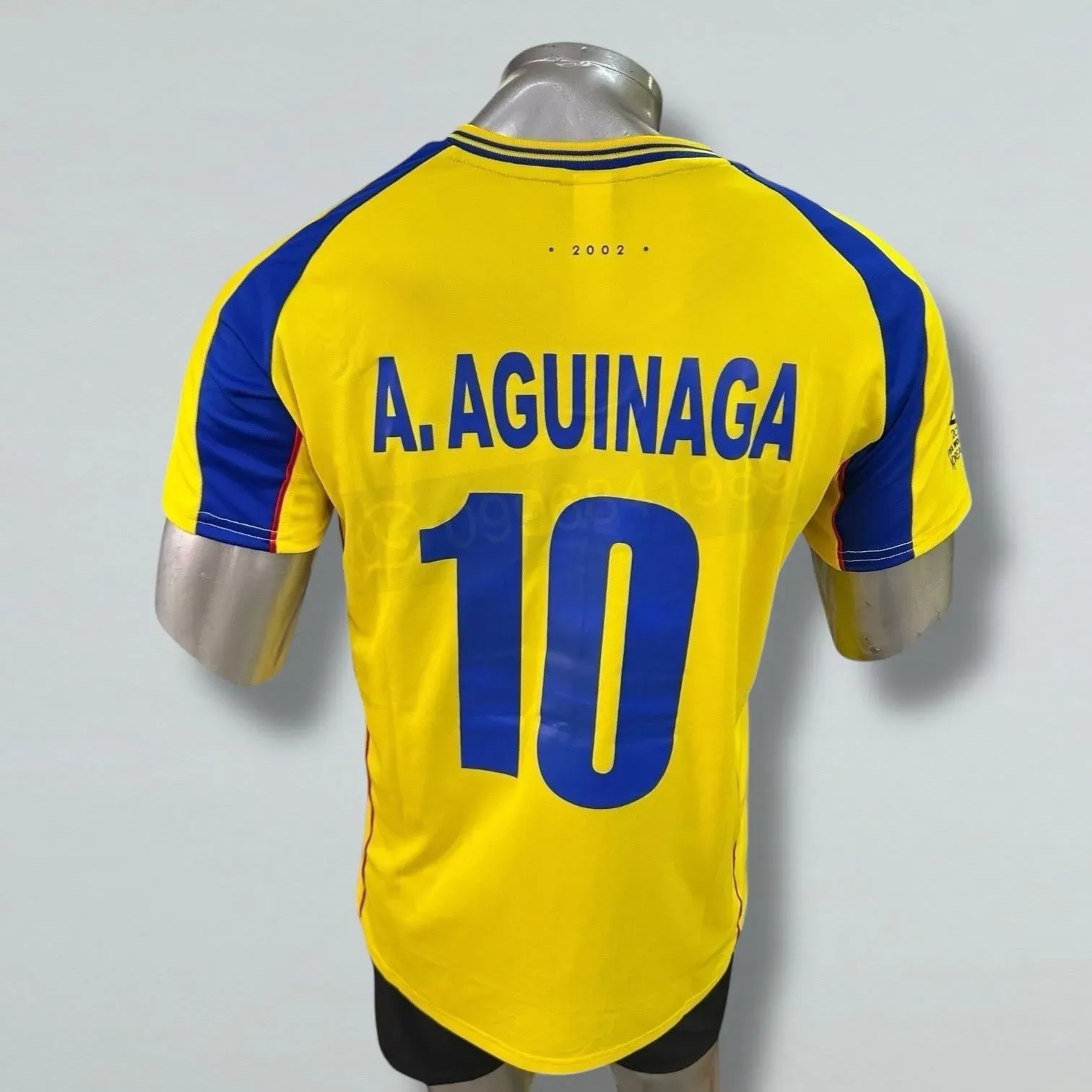Titular Ecuador 🇪🇨 2002